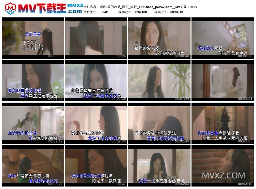 紫晔-爱的苦果_国语_流行_YE800653